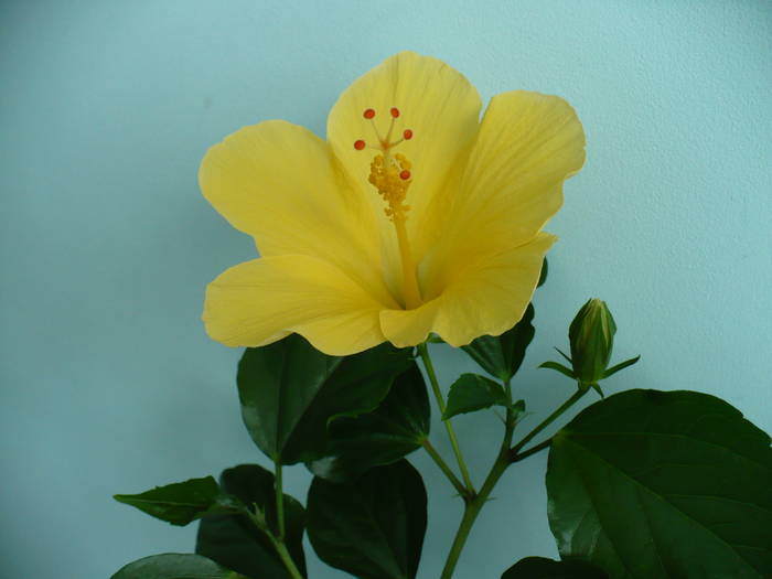 P1140408