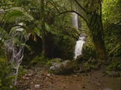 Wizards_of_Waverly_Place_The_Movie_1252726865_0_2009 - Poze cu desene emisiuni etc