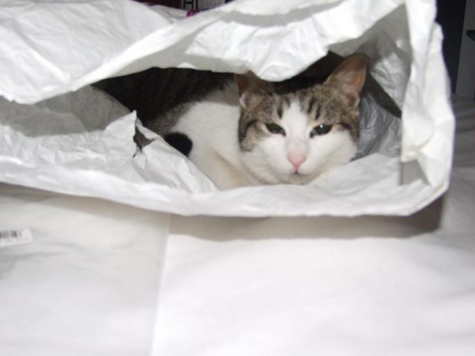 Mitzy are o ascunzatoare