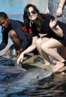 HFAOQUQFFZWHWEWENYM - demi lovato in bahamas joc cu delfinii si focile