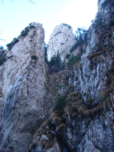 DSC04624