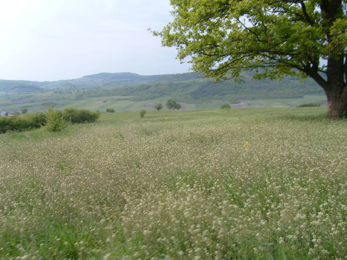 Peisaj - Turism Ecvestru Calare Prin Romania