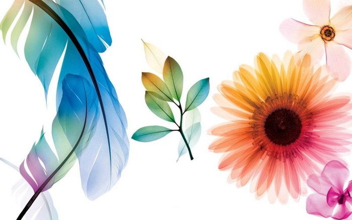 As-Nature-Intended- - 171 - Nature Wallpapers