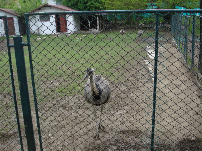 Picture 155