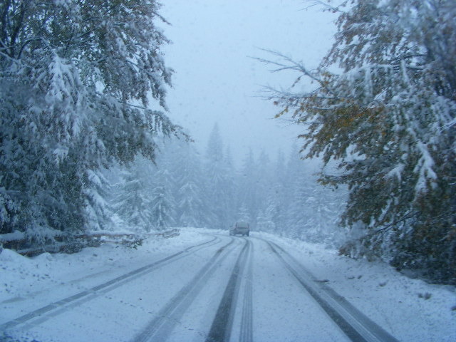 DSCF7348 - ninge in Maramu