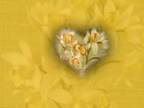 5 - love