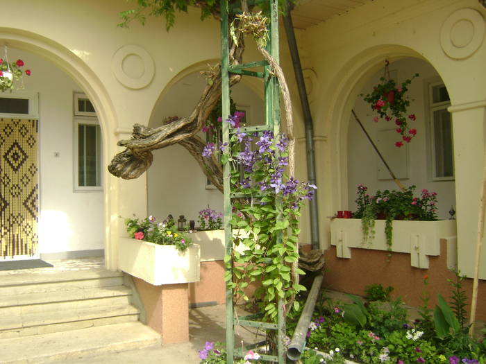  - EXCURSIE  in DELTA