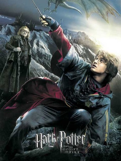 12-harry-potter