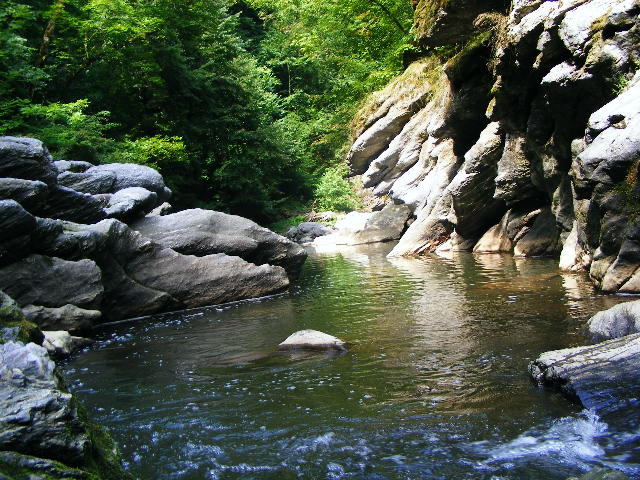 DSCF5160