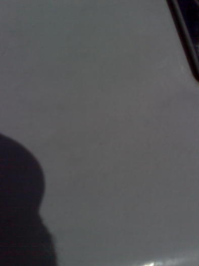 Imagine1293 - ApiMondia