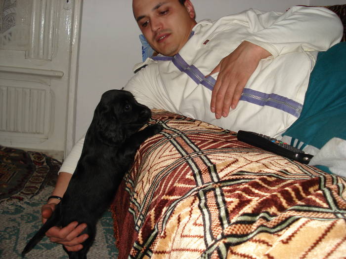 DSC08932 - ANIMALUTELE MELE