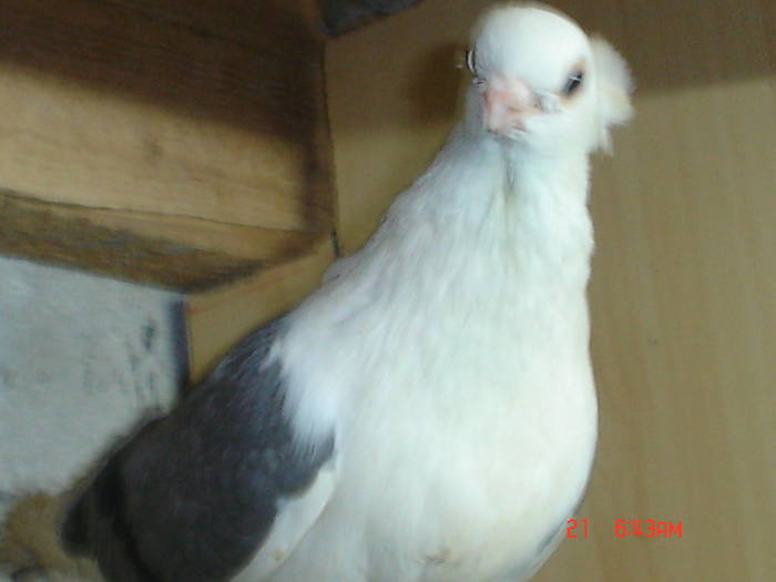 DSC02873