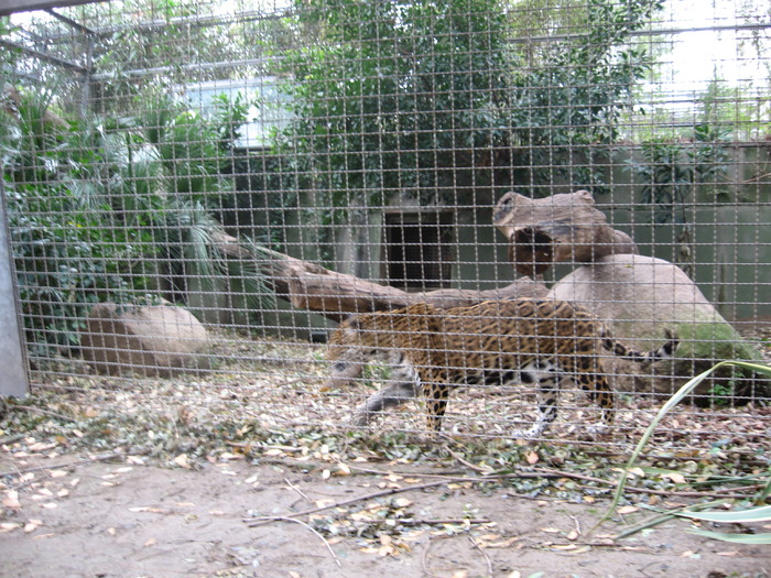 IMG_0445 - Gradina Zoologica din Barcelona