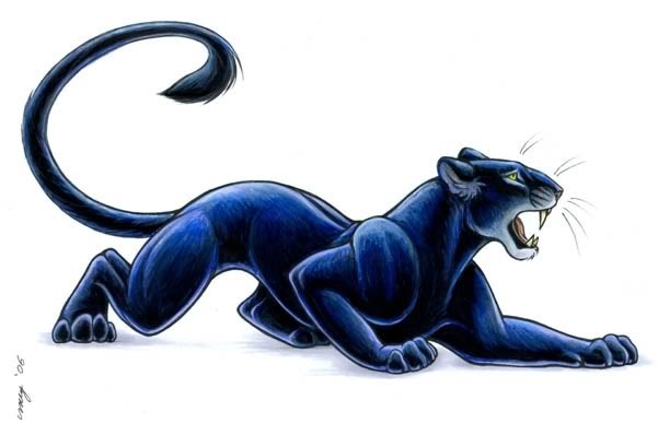 Panther