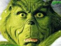 t3810_640x480 - mister grinch