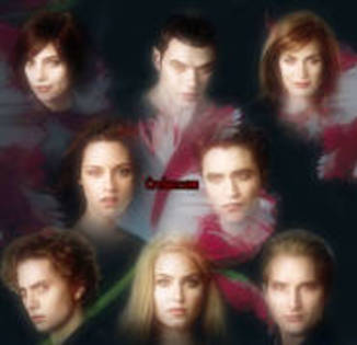 alice,emmet,esme,bella,edwrad,jasper,rosalie,carlisle