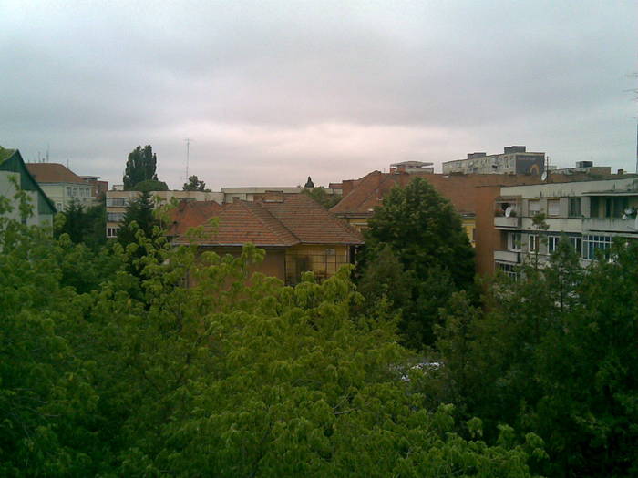 Copy of 21062009 - asta da viata