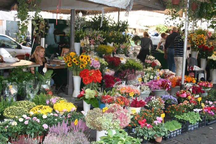 roma 224 - Campo de Fiori