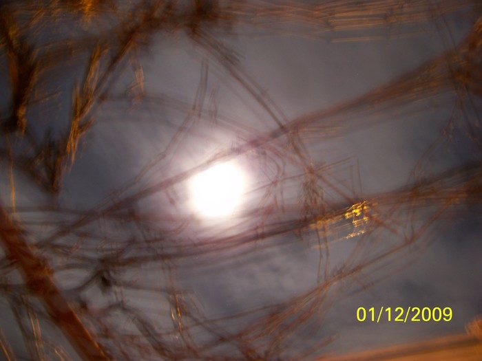 100_6161 - 1 Decembrie Timisoara