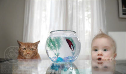 poze_n_vanatorii - Bebelusi