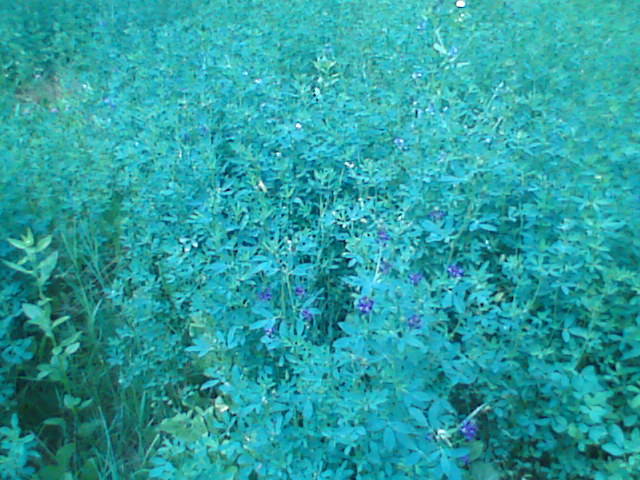 draganeasa09 075 - vacanta draganeasa 2009