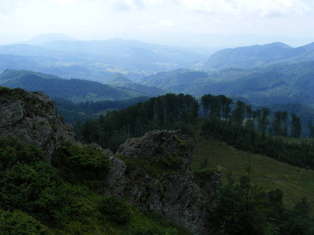 DSCF3049