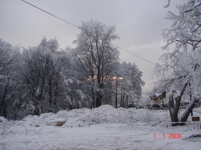 Iarna la Zalau - Natura