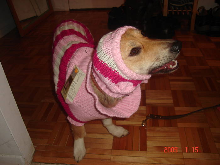 Picture 094 - Montreal