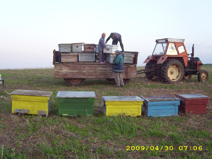 noua locuinta