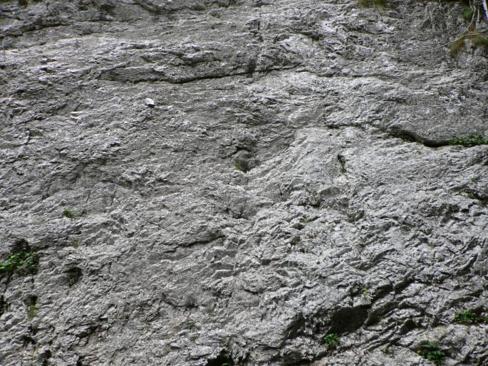P100062