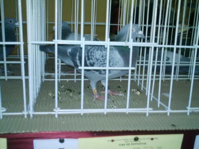 IMAG014
