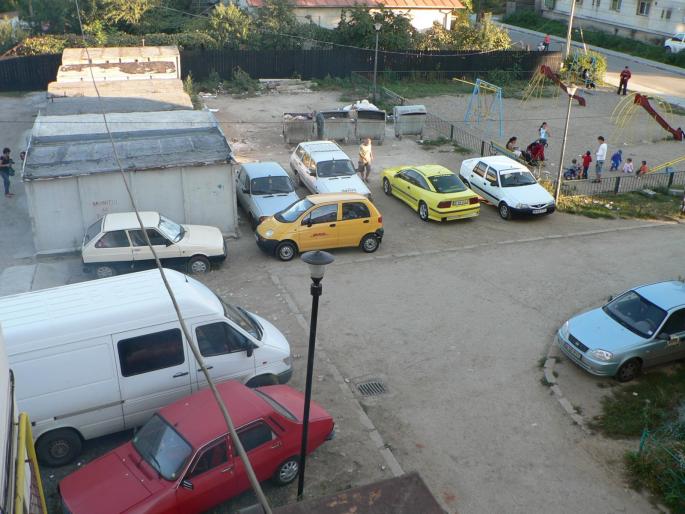 P1010204 - 2008 florii