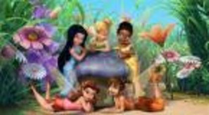 Tinker_Bell_1240417770_2_2008 - poze tinker bell