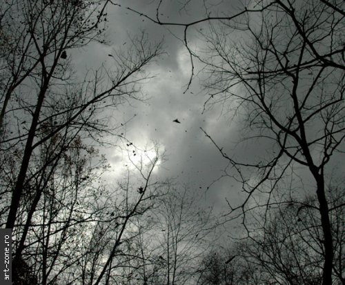 autumnwind10_07b[1]
