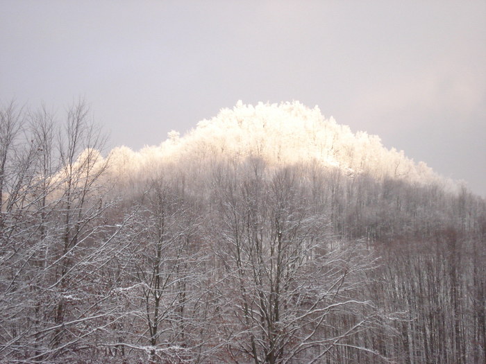 Everest??? O fi, n-o fi? - Suior- Mogosa -Maramures