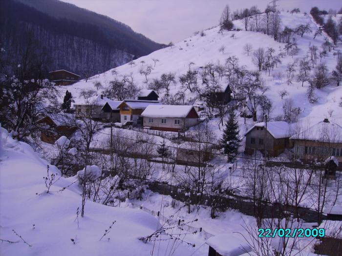 IMG_5967 - 2009 Iarna februarie 2009