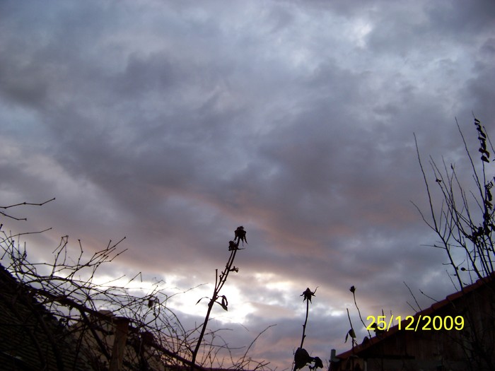 100_7866 - Sfarsit de decembrie 2009