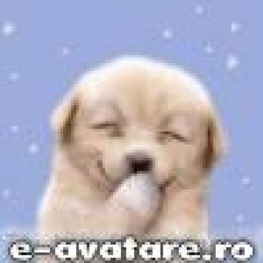 avatare_gratuite_606d6b78567ecd3e1b6983a1e8c19122 - avatare