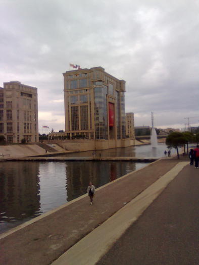 rau curat la ei. - ApiMondia