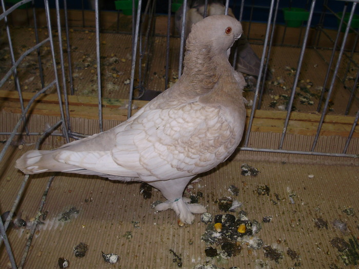 10283 b 0 - 1507 partea 5