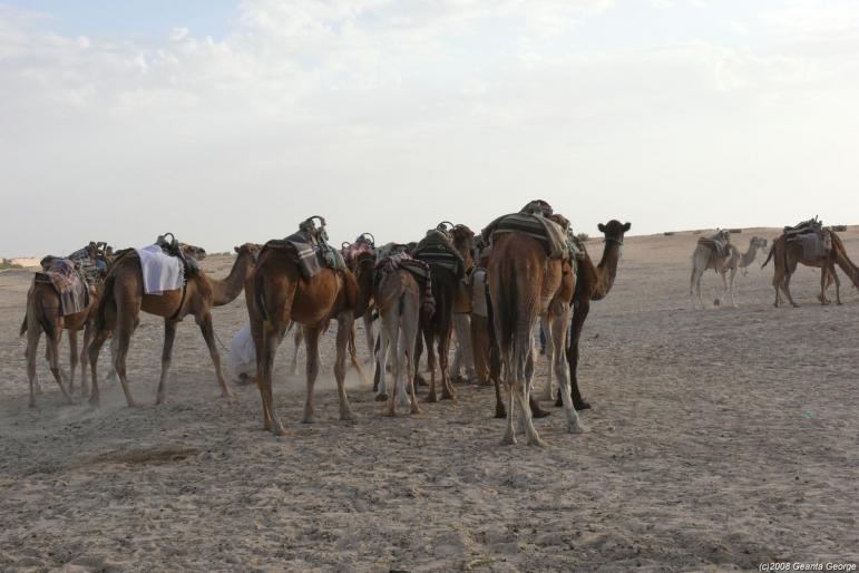 Tunisia_399
