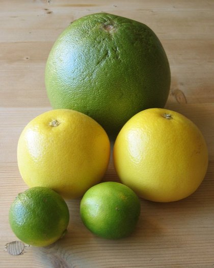 citrice-pomelo - fructe