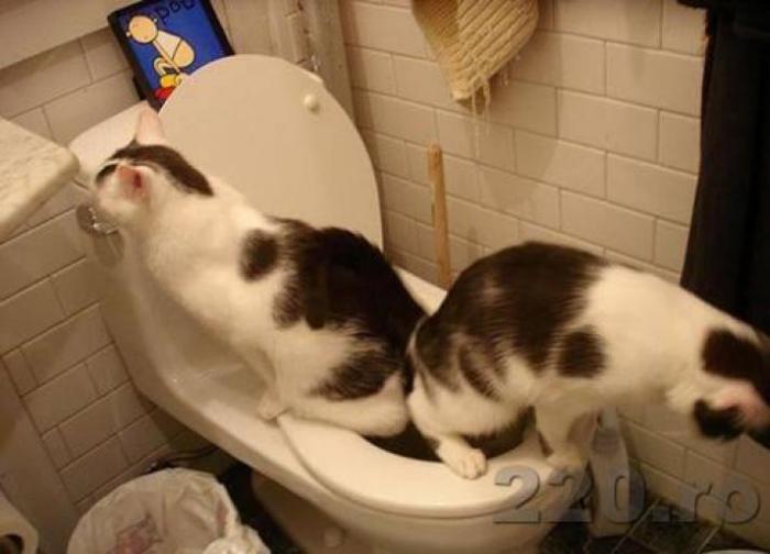 JQKIKUHHBKVUDDKUPUG[1]