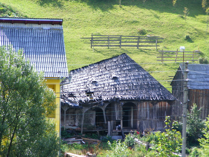 DSCF6351 - muntii Rodnei