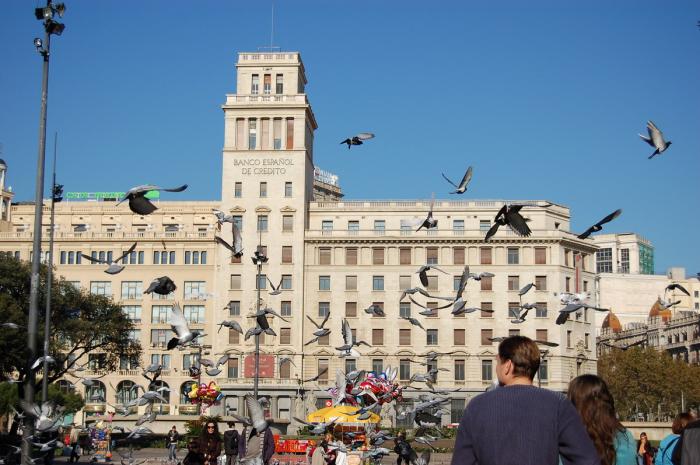 DSC_0035 - Placa de Catalunya