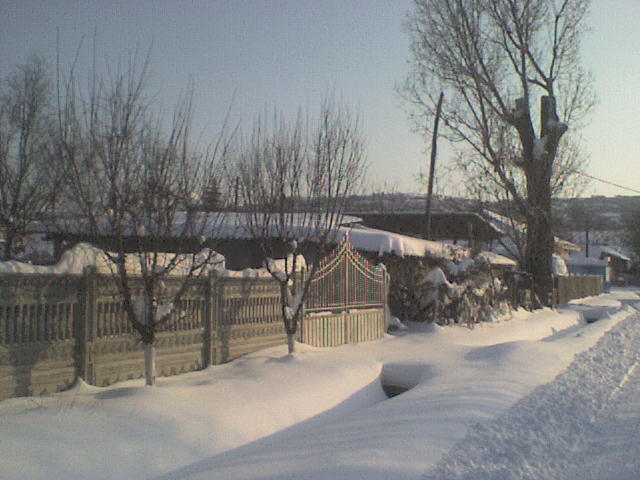 DSC01264 - iarna in sat