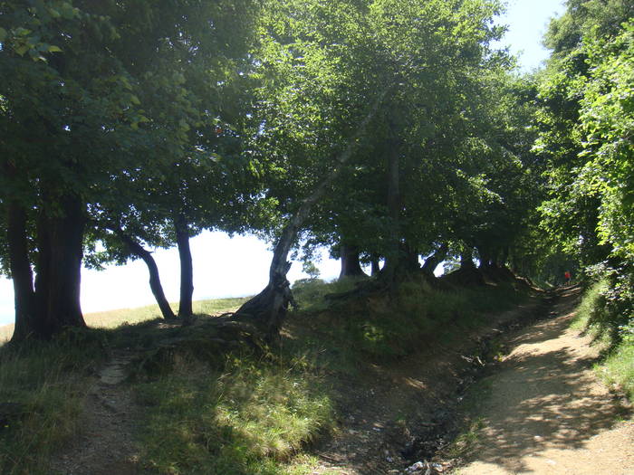 185 - vacanta 23  28 iulie 2009