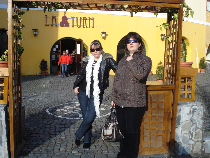 DSC06069 - 2010 REVELION SIBIU