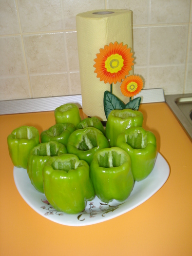 ARDEII CURATATI - GUSTOS