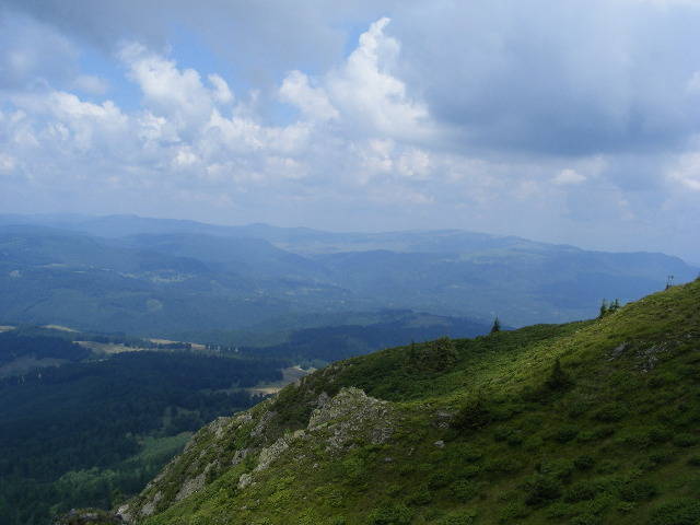 DSCF3114
